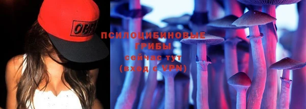 дмт Баксан